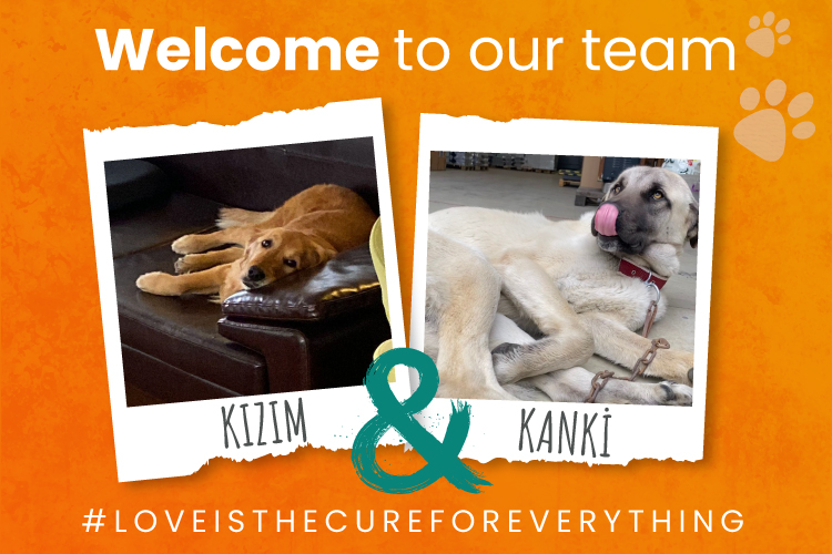 Welcome to the Cizgi Technology Family “KANKI & KIZIM''